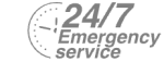 24/7 Emergency Service Pest Control in Soho, W1. Call Now! 020 8166 9746