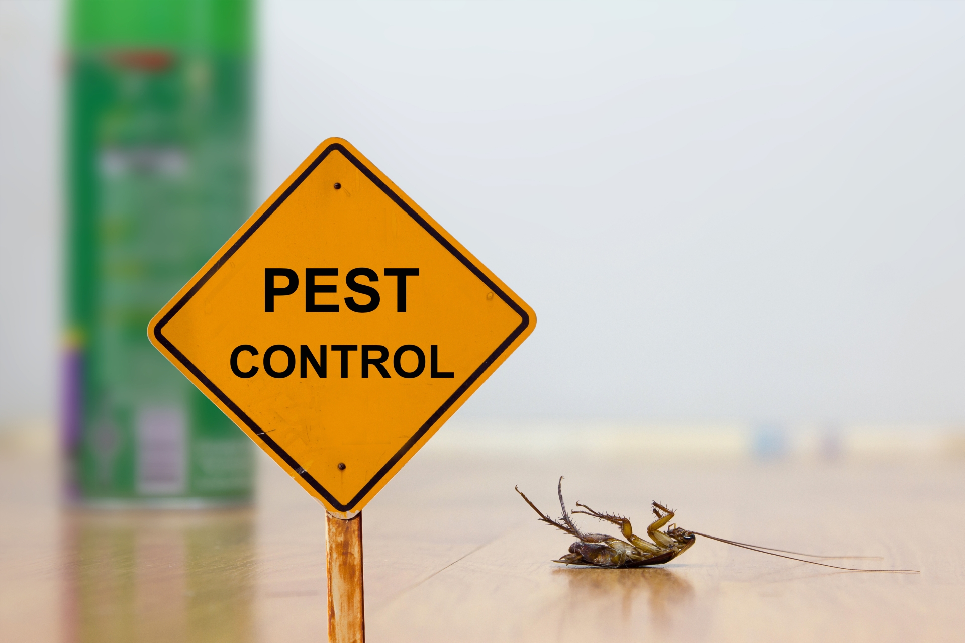 24 Hour Pest Control, Pest Control in Soho, W1. Call Now 020 8166 9746